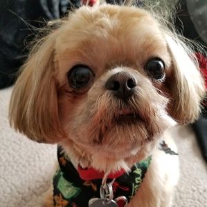 Meet your Posher, Chris